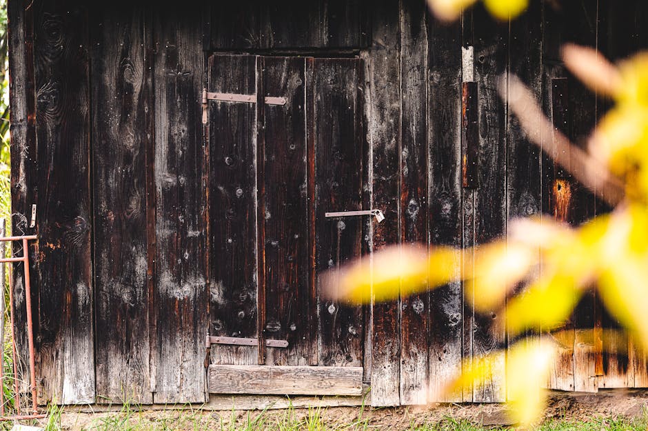 A weathered wooden door with rusty hinges on an old barn wall, surrounded by autumn foliage.